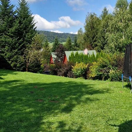 Domki Pod Kiczera W Baligrodzie, Bieszczady Exterior photo